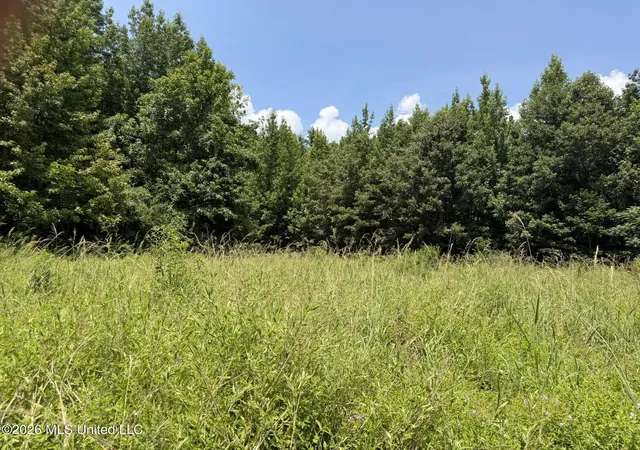 Homes for sale in West, MS | 4267 Race Track Rd, West, MS 39192 | MLS# 4155681