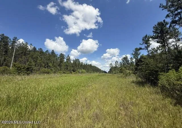 Photo 2 of Land for sale at Elmer Hamilton Rd, Moss Point, MS 39562 | MLS# 4156509 | Listing updated on 2026-07-20