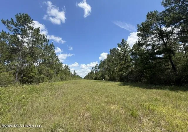 Photo 3 of Land for sale at Elmer Hamilton Rd, Moss Point, MS 39562 | MLS# 4156509 | Listing updated on 2026-07-20