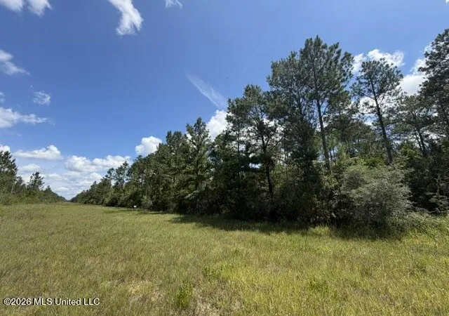 Photo 4 of Land for sale at Elmer Hamilton Rd, Moss Point, MS 39562 | MLS# 4156509 | Listing updated on 2026-07-20