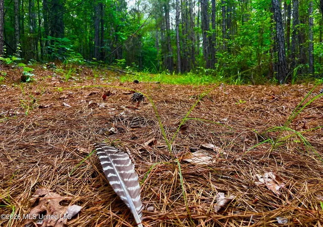 Photo 1 of Land for sale at Arthur Dr, Brookhaven, MS 39601 | MLS# 4156908 | Listing updated on 2026-07-23