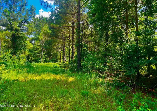Photo 3 of Land for sale at Arthur Dr, Brookhaven, MS 39601 | MLS# 4156908 | Listing updated on 2026-07-23