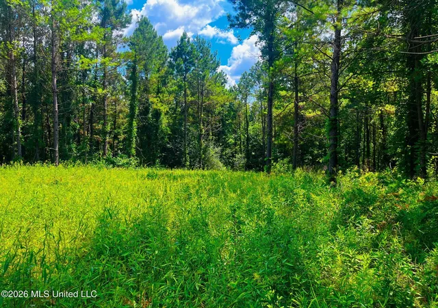 Photo 3 of Land for sale at Arthur Dr, Brookhaven, MS 39601 | MLS# 4156908 | Listing updated on 2026-07-23