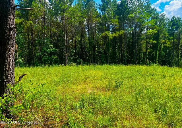 Photo 4 of Land for sale at Arthur Dr, Brookhaven, MS 39601 | MLS# 4156908 | Listing updated on 2026-07-23