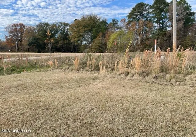 1st image of N Old Canton Rd, Canton, MS 39046 | MLS# 4155714