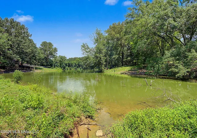 Homes for sale in Walls, MS | 7673 Delta Lakes Blvd, Walls, MS 38680 | MLS# 4155779