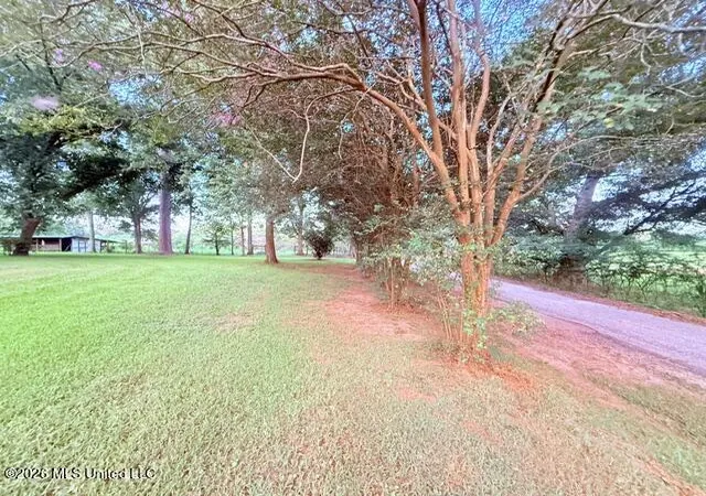 Homes for sale in Tylertown, MS | 25 Wes Dillon Rd, Tylertown, MS 39667 | MLS# 4155735
