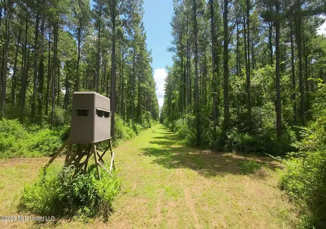Photo 1 of Land for sale at 1026 Mt Olive Rd, Mount Olive, MS 39119 | MLS# 4155952 | Listing updated on 2026-07-23