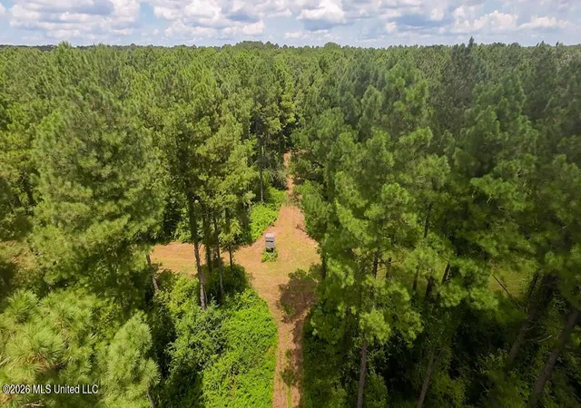 Photo 2 of Land for sale at 1026 Mt Olive Rd, Mount Olive, MS 39119 | MLS# 4155952 | Listing updated on 2026-07-23