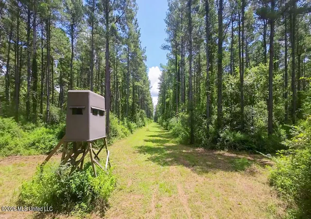 Photo 3 of Land for sale at 1026 Mt Olive Rd, Mount Olive, MS 39119 | MLS# 4155952 | Listing updated on 2026-07-23