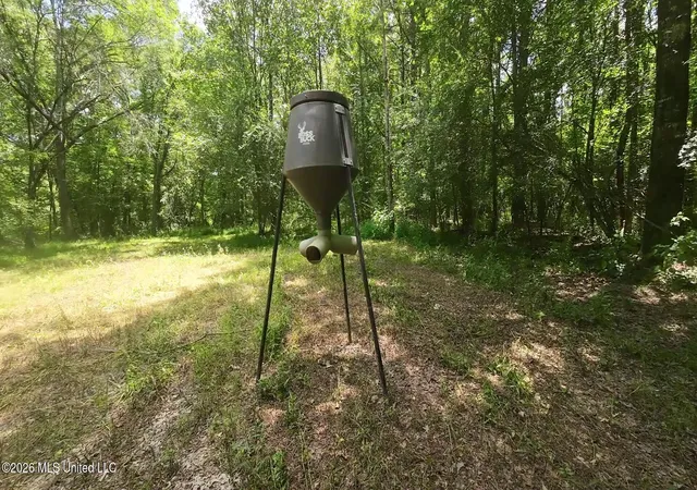 Photo 3 of Land for sale at 1026 Mt Olive Rd, Mount Olive, MS 39119 | MLS# 4155952 | Listing updated on 2026-07-23