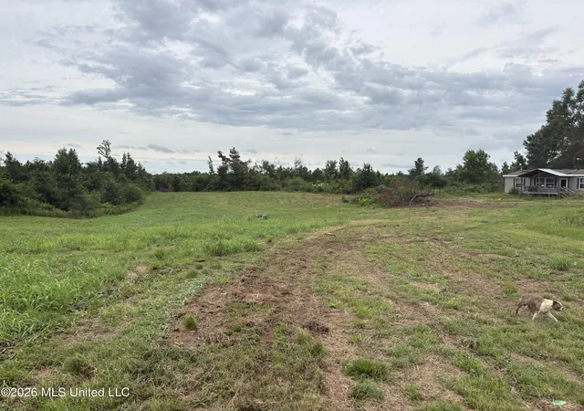 Photo 2 of Land for sale at 3690 Se Harmony Dr, Brookhaven, MS 39601 | MLS# 4155771 | Listing updated on 2026-07-30