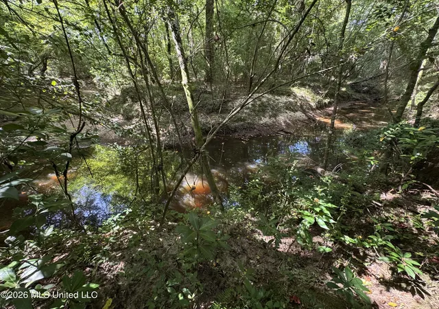 Photo 23 of Land for sale at 32 Sauls Rd, Ruth, MS 39662 | MLS# 4155778 | Listing updated on 2026-07-14