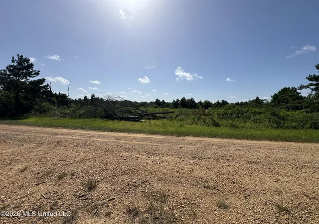 Homes for sale in Ruth, MS | 32a Sauls Rd, Ruth, MS 39662 | MLS# 4155824