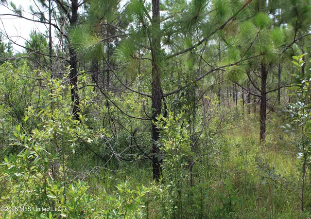 1st image of Agricola Latonia Rd, Lucedale, MS 39452 | MLS# 4155897