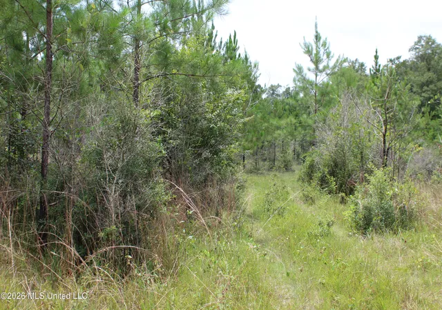 27th image of Agricola Latonia Rd, Lucedale, MS 39452 | MLS# 4155897