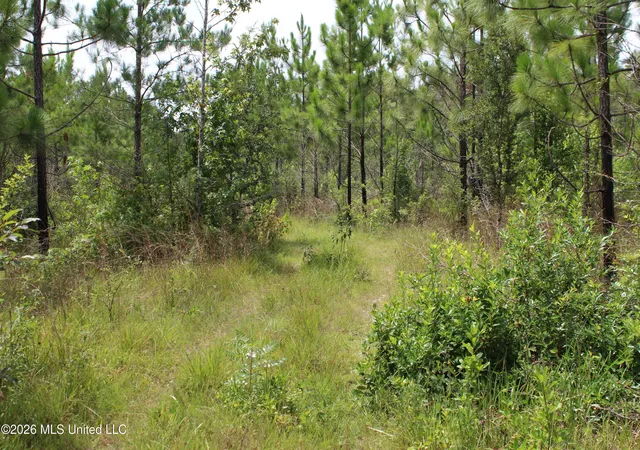 Photo 3 of Land for sale at Agricola Latonia Rd, Lucedale, MS 39452 | MLS# 4155897 | Listing updated on 2026-07-16