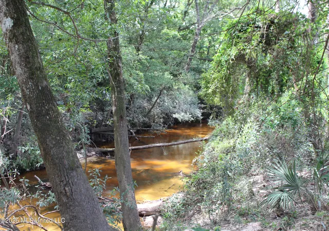 Photo 3 of Land for sale at Agricola Latonia Rd, Lucedale, MS 39452 | MLS# 4155897 | Listing updated on 2026-07-16