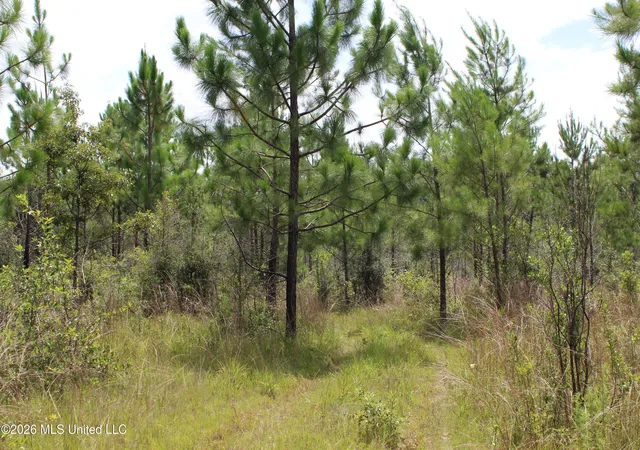 Photo 4 of Land for sale at Agricola Latonia Rd, Lucedale, MS 39452 | MLS# 4155897 | Listing updated on 2026-07-16