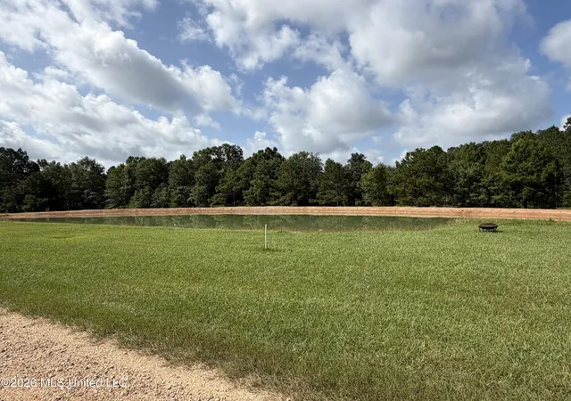 3rd image of 231 New Arbor Rd, Poplarville, MS 39470 | MLS# 4155852