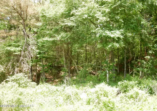Photo 1 of Land for sale at 3 Looxahoma Tyro Rd, Senatobia, MS 38668 | MLS# 4156516 | Listing updated on 2026-07-20
