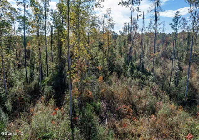 Homes for sale in Sumrall, MS | 3608 +/  Acres Placid Dr, Sumrall, MS 39482 | MLS# 4155875