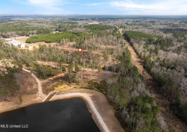Homes for sale in Sumrall, MS | 3608 +/  Acres Placid Dr, Sumrall, MS 39482 | MLS# 4155875