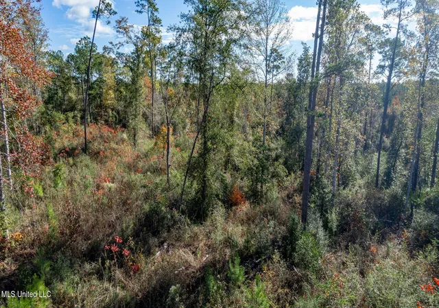 Homes for sale in Sumrall, MS | 3608 +/- Acres Placid Dr, Sumrall, MS 39482 | MLS# 4155875