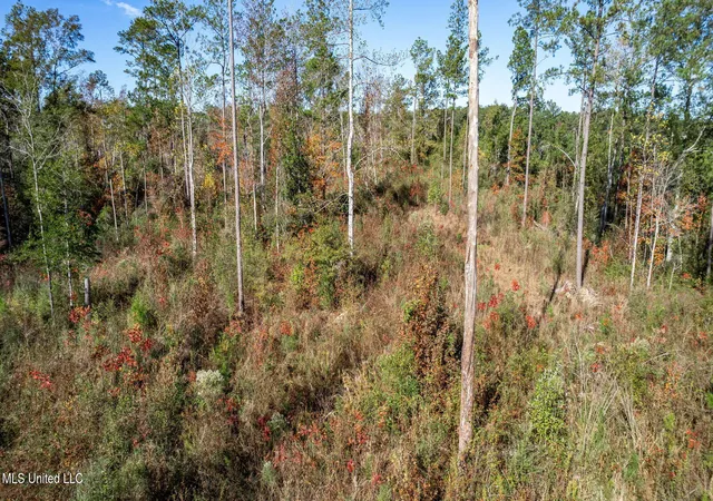 Homes for sale in Sumrall, MS | 3608 +/- Acres Placid Dr, Sumrall, MS 39482 | MLS# 4155875