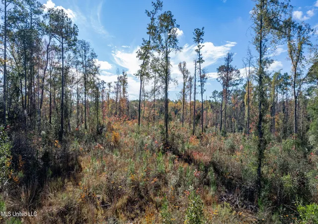 Homes for sale in Sumrall, MS | 3608 +/- Acres Placid Dr, Sumrall, MS 39482 | MLS# 4155875