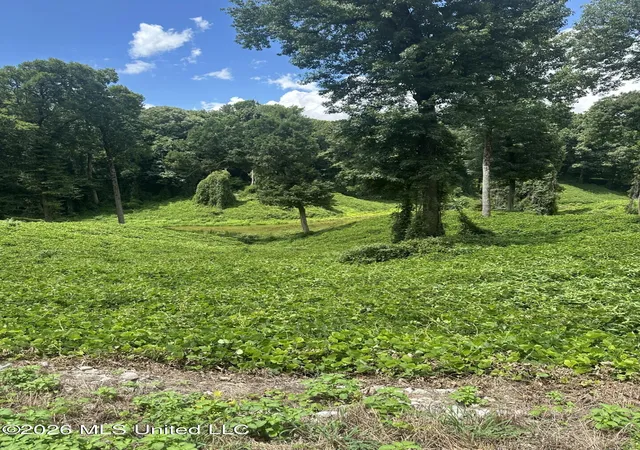 Photo 2 of Land for sale at 0 Woodland Lake Dr, Hernando, MS 38632 | MLS# 4156052 | Listing updated on 2026-07-16
