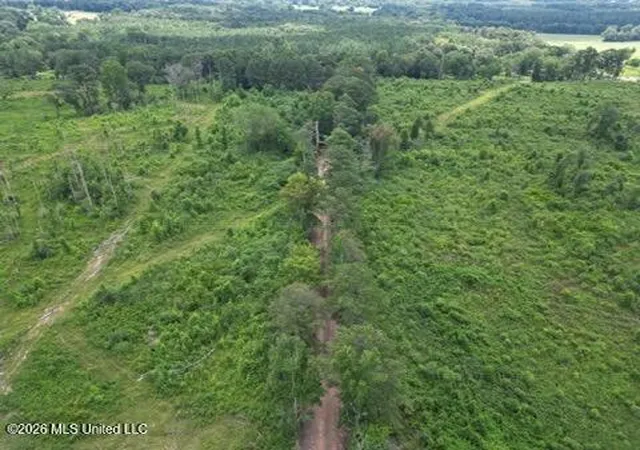 Photo 1 of Land for sale at H Buckley Rd, Mendenhall, MS 39114 | MLS# 4155972 | Listing updated on 2026-08-27