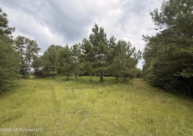 Photo 1 of Sale Pending at 0 Beartown Rd, Jayess, MS 39641 | MLS# 4155974 | Listing updated on 2026-09-12