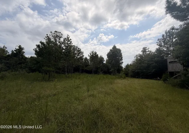 Photo 2 of Sale Pending at 0 Beartown Rd, Jayess, MS 39641 | MLS# 4155974 | Listing updated on 2026-09-12