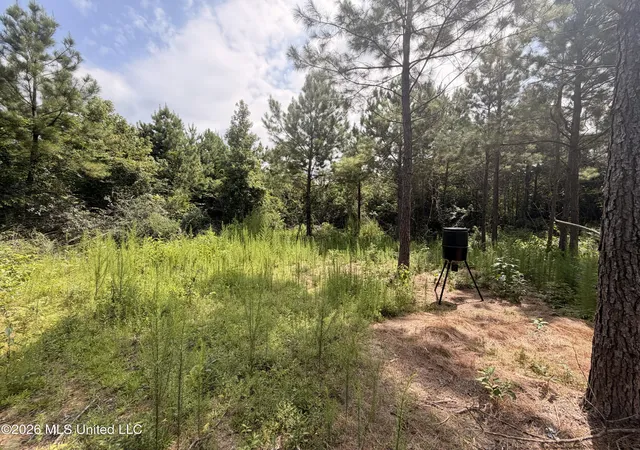 Photo 3 of Sale Pending at 0 Beartown Rd, Jayess, MS 39641 | MLS# 4155974 | Listing updated on 2026-09-12