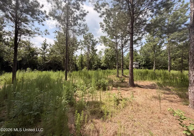 Photo 4 of Sale Pending at 0 Beartown Rd, Jayess, MS 39641 | MLS# 4155974 | Listing updated on 2026-09-12