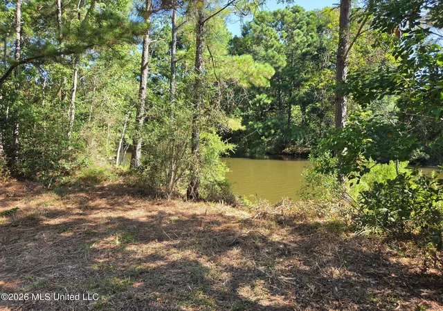 Photo 4 of Land for sale at 208 Mcclung St, Pass Christian, MS 39571 | MLS# 4155981 | Listing updated on 2026-07-30
