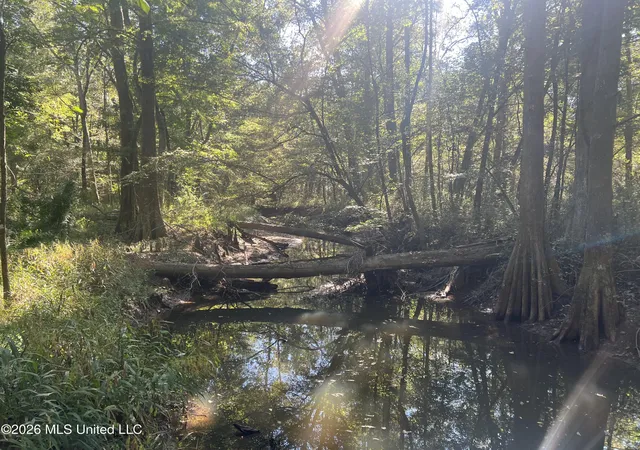 Photo 1 of Land for sale at N Red Hl Florence Rd, Heidelberg, MS 39439 | MLS# 4155985 | Listing updated on 2026-07-15