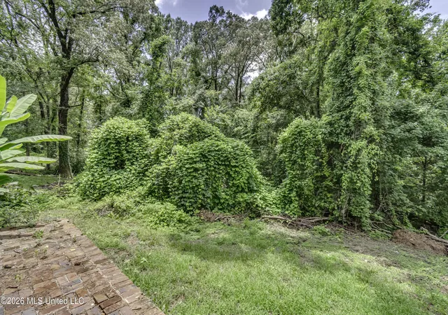Photo 58 of Sale Pending at 43 Rich Ln, Yazoo City, MS 39194 | MLS# 4156016 | Listing updated on 2026-08-07