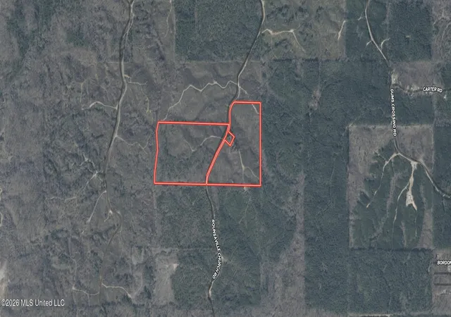 Photo 1 of Land for sale at Rounsaville Church Rd, Coffeeville, MS 38922 | MLS# 4156117 | Listing updated on 2026-07-24