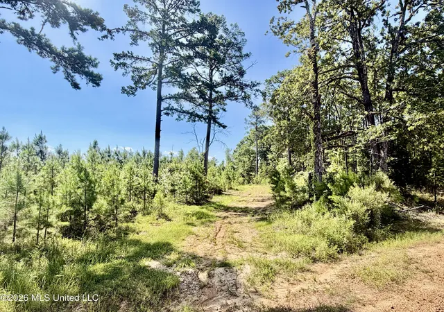 Photo 2 of Land for sale at Rounsaville Church Rd, Coffeeville, MS 38922 | MLS# 4156117 | Listing updated on 2026-07-24