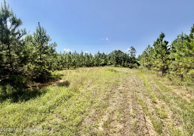 Photo 3 of Land for sale at Rounsaville Church Rd, Coffeeville, MS 38922 | MLS# 4156117 | Listing updated on 2026-07-24