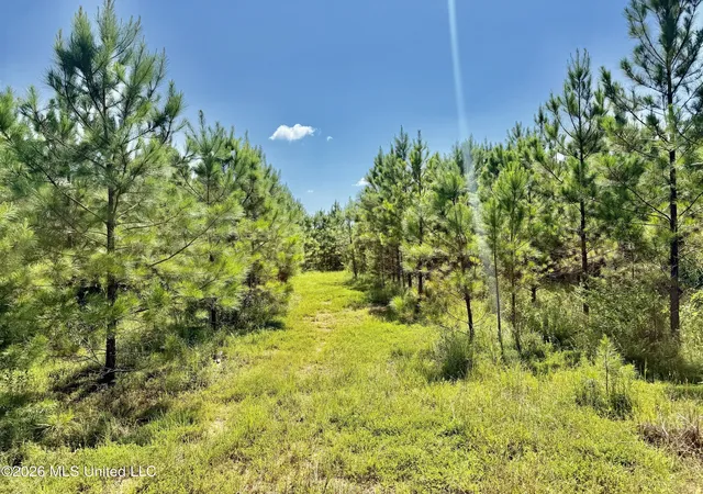 Photo 3 of Land for sale at Rounsaville Church Rd, Coffeeville, MS 38922 | MLS# 4156117 | Listing updated on 2026-07-24