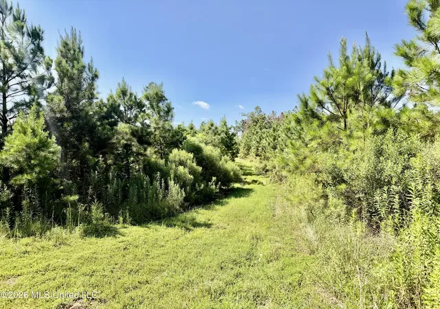 Photo 4 of Land for sale at Rounsaville Church Rd, Coffeeville, MS 38922 | MLS# 4156117 | Listing updated on 2026-07-24