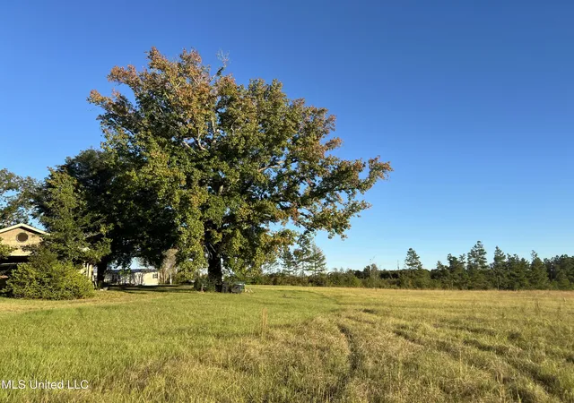 Photo 3 of Single family home for sale at 2066 S 569 Highway, Liberty, MS 39645 | MLS# 4156099 | Listing updated on 2026-07-16