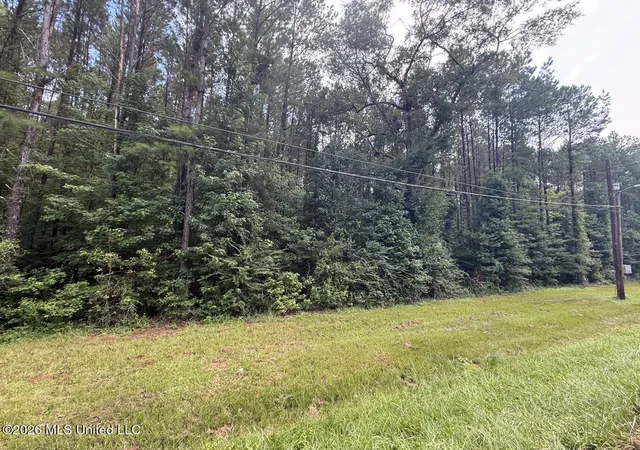 Land for sale at 253 Red Dog Rd, Carthage, MS 39051 | MLS# 4156108