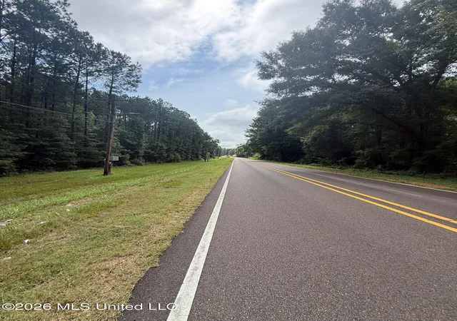 Photo 1 of Land for sale at 253 Red Dog Rd, Carthage, MS 39051 | MLS# 4156108 | Listing updated on 2026-07-16