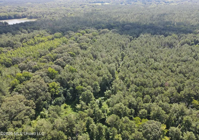 Photo 1 of Land for sale at Vaughan Rd, Vaughan, MS 39179 | MLS# 4156152 | Listing updated on 2026-07-17
