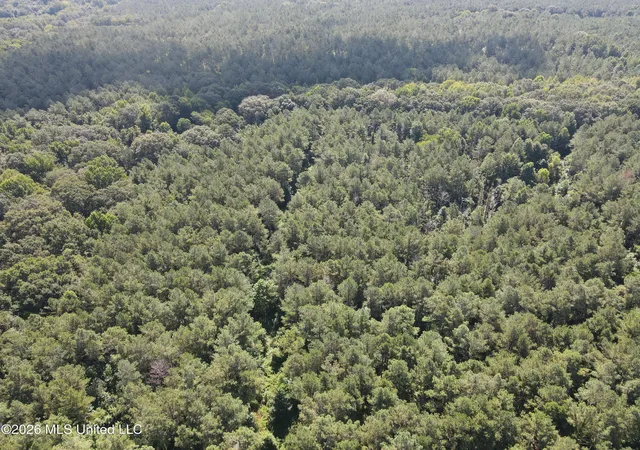 Photo 2 of Land for sale at Vaughan Rd, Vaughan, MS 39179 | MLS# 4156152 | Listing updated on 2026-07-17