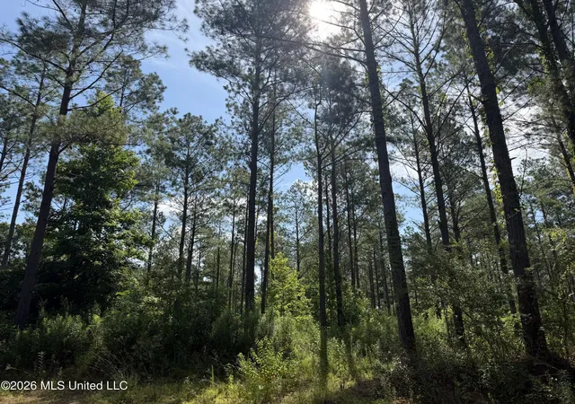Photo 3 of Land for sale at Vaughan Rd, Vaughan, MS 39179 | MLS# 4156152 | Listing updated on 2026-07-17